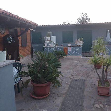 Aquila Di Mare Villa Fiumicino Værelse billede