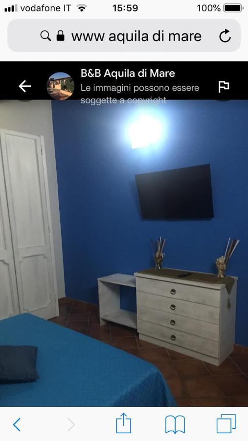 Aquila Di Mare Villa Fiumicino Eksteriør billede