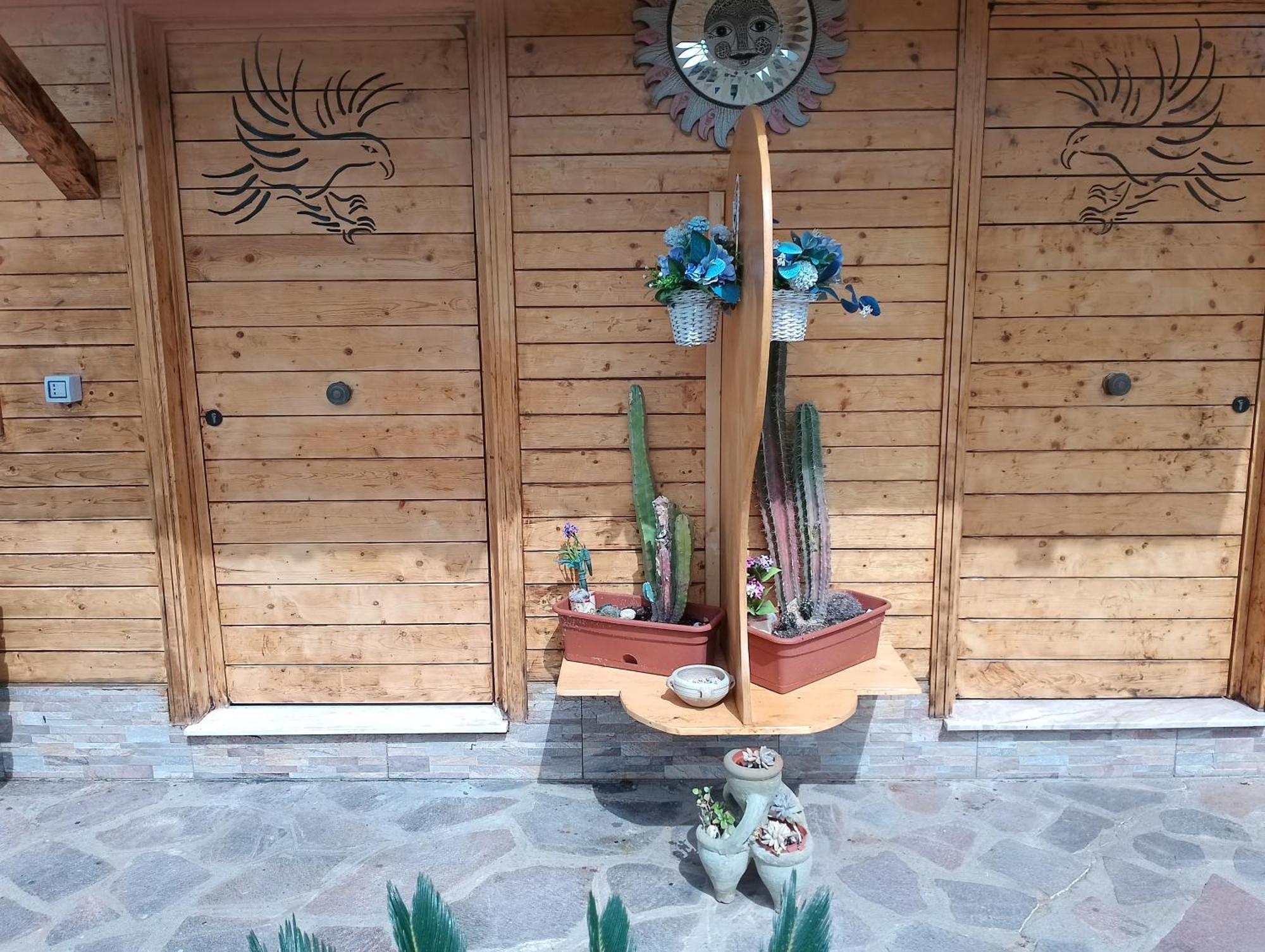 Aquila Di Mare Villa Fiumicino Eksteriør billede
